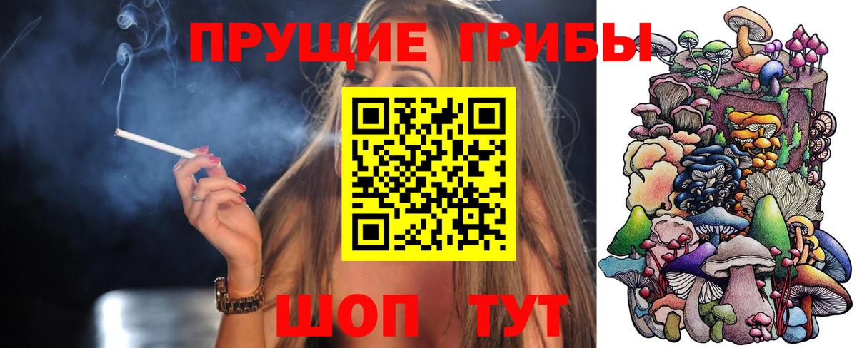 Псилоцибиновые грибы Psilocybe Ставрополь