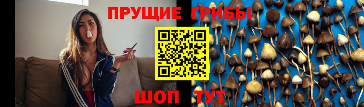 Псилоцибиновые грибы мицелий  Галлюциногенные грибы ЛСД  Ставрополь  Вход с VPN 