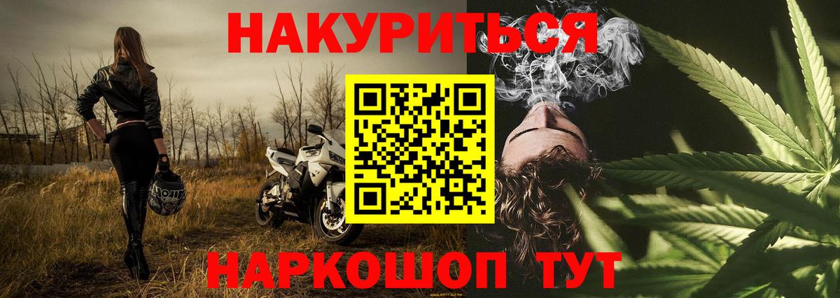 Каннабис White Widow  Бошки Шишки OG Kush  Конопля семена  Вход с VPN  Бошки Шишки семена  Ставрополь 